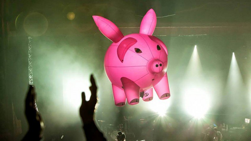 Photo of a flying pink pig balloon.