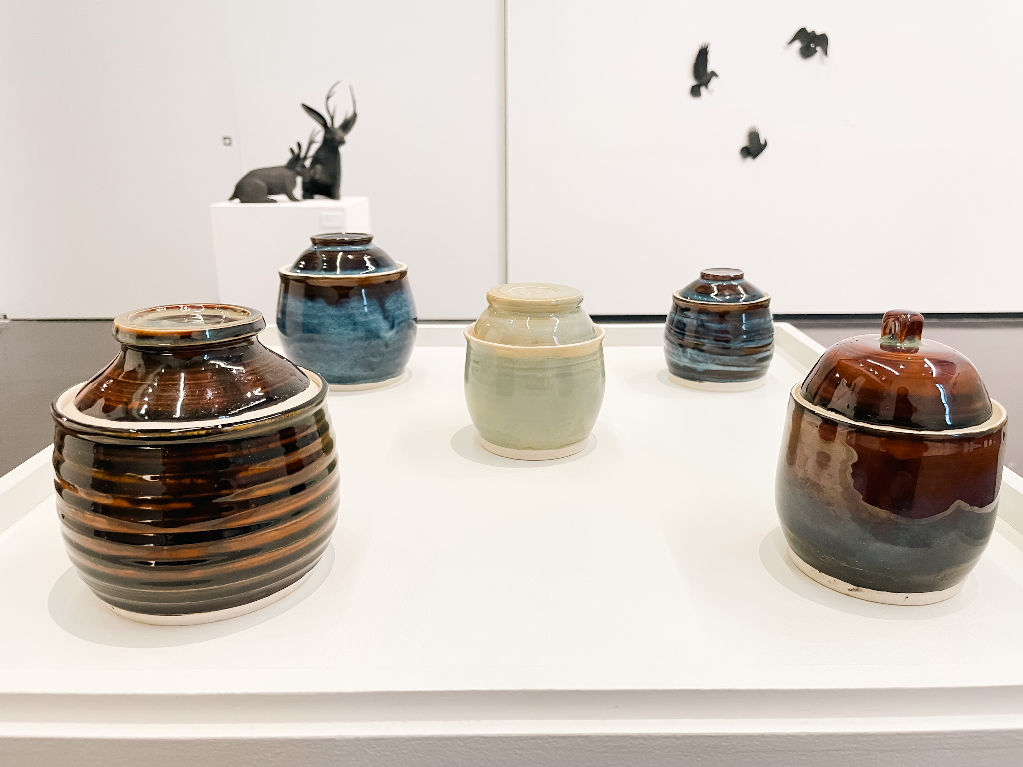 Ceramic pots in a gallery.