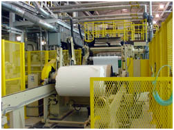 roll of paper on the coating machine