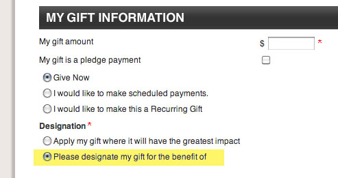 Graphic of My Gift Information form.