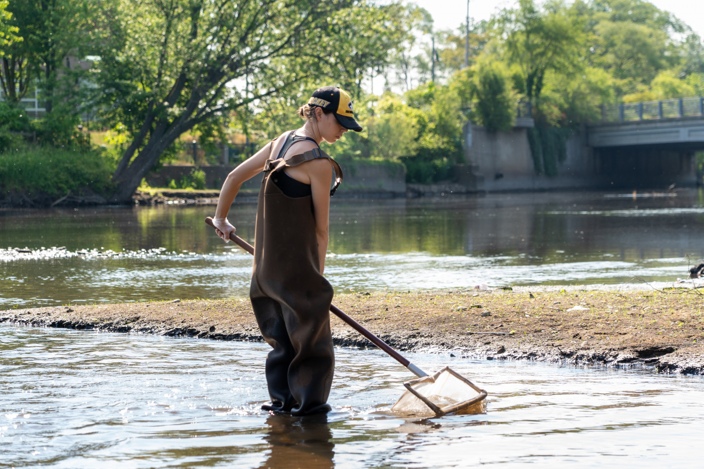 A student uses a net in the Kalamazoo river.