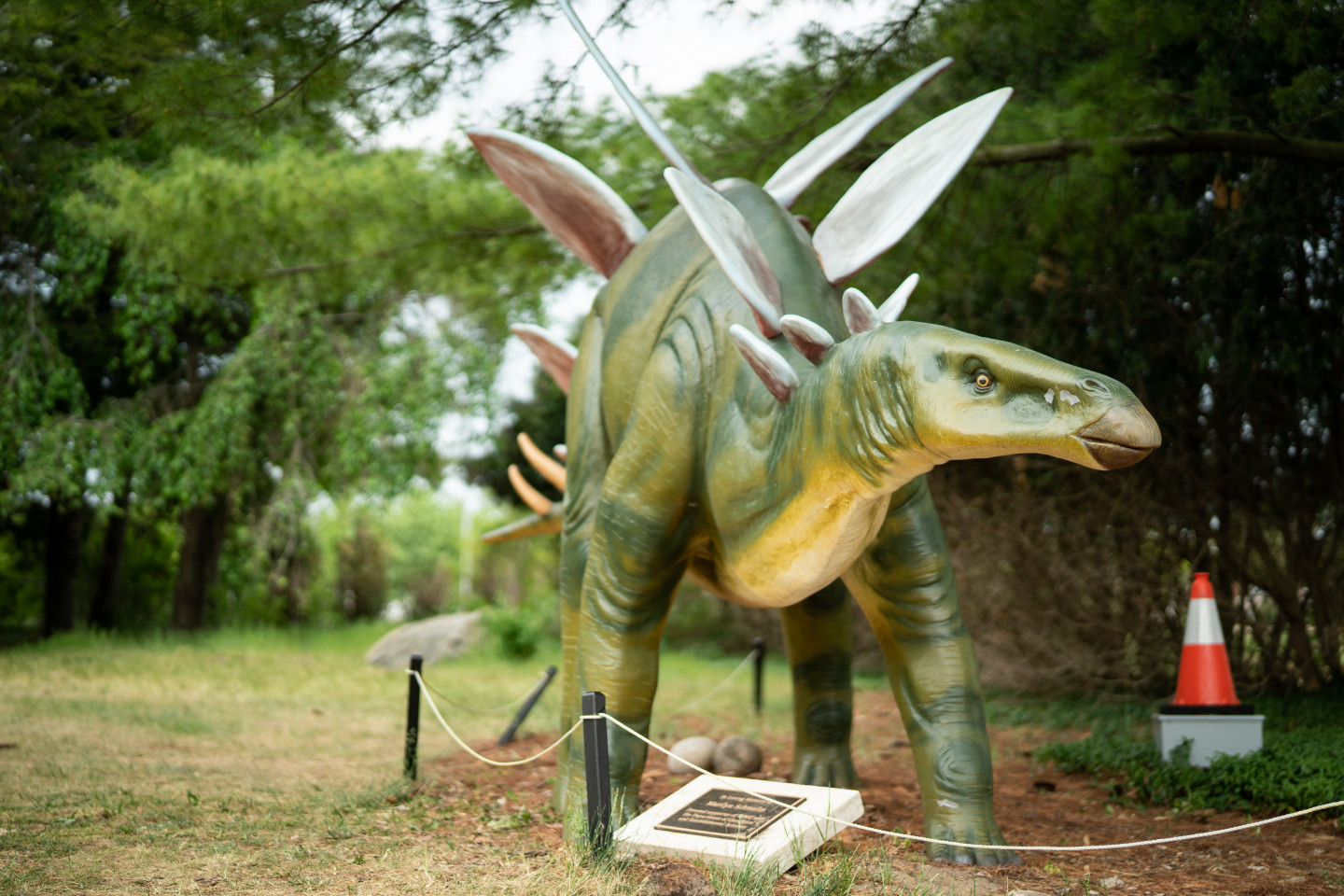 A stegosaurus statue.