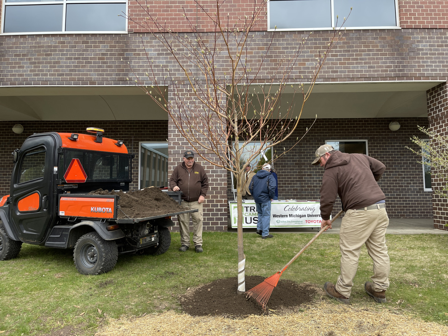 Jeff Eckert rakes dirt around a newly planted dogwood.