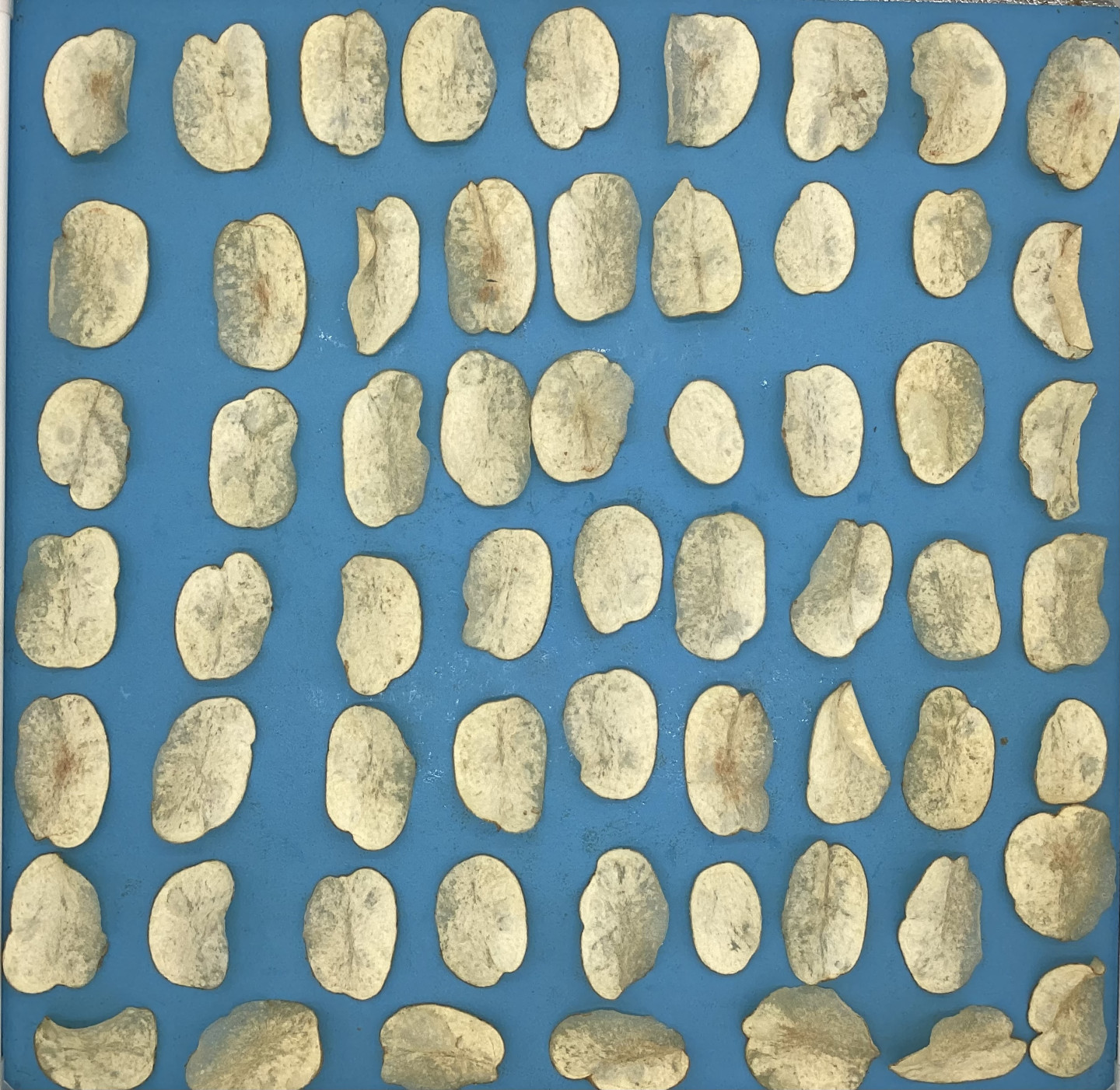 A top view of chips on a blue table.
