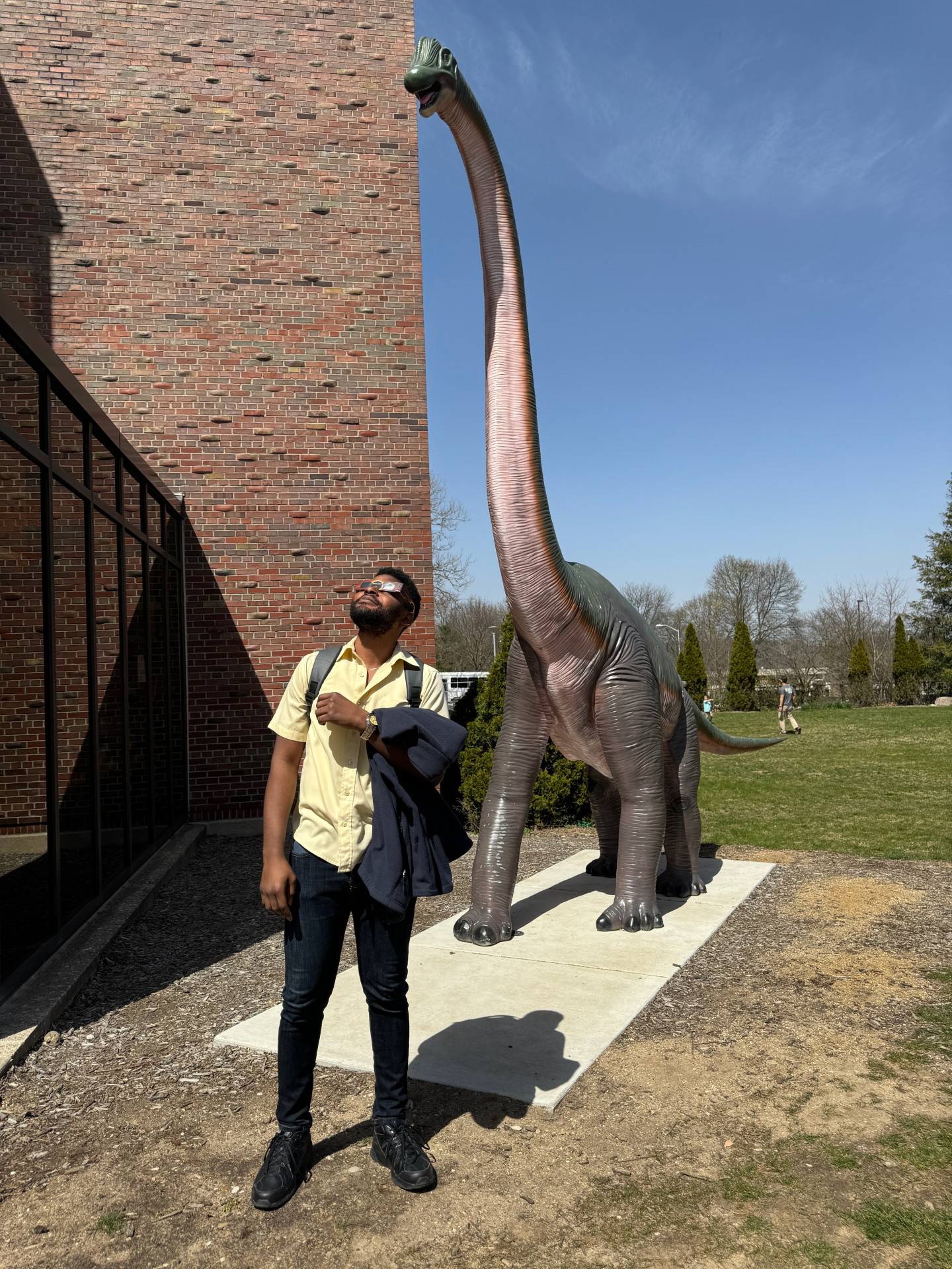 A student stands next to a brontosaurus.