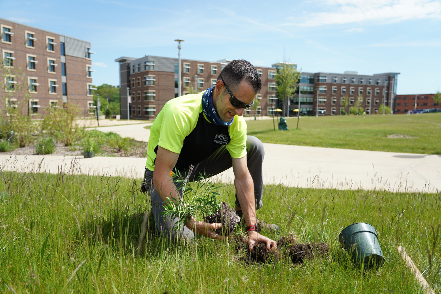A WMU employee plants a seedling in the grass on campus.
