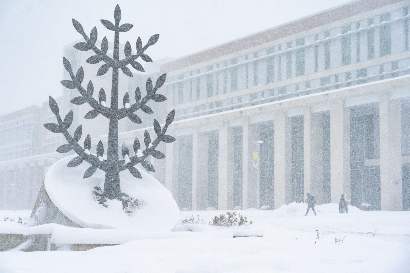 The WMU seal sculpture covered in snow.