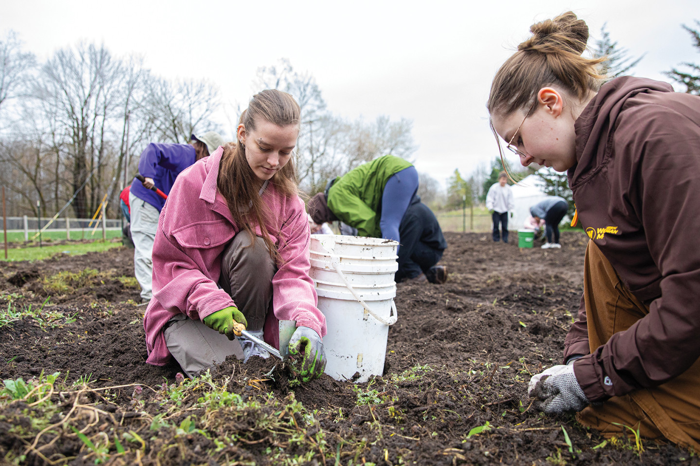 From March through December, students practice regenerative agricultural techniques at Western’s Gibbs House Sustainability Research and Demonstration Site.