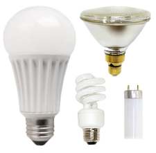 lightbulbs of assorted shapes