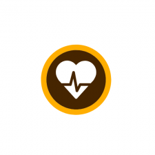 This is a decorative image of a heart with a heartbeat line symbolized over the top of it. The heart is in white on a brown circle with a thin gold circular band around it in the school colors of W M U. 