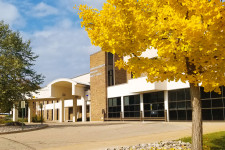 Health center building entrance framed by gingko tree in full fall color, bright gold