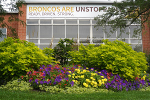 image of academic building with flowers