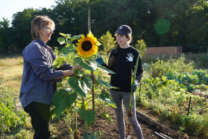 Female student and professor, working in the community garden at WMU.