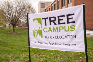 A sign that says Tree Campus Higher Education.