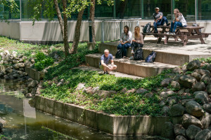 Students sitting at picnic tables by the water outside Floyd Hall.