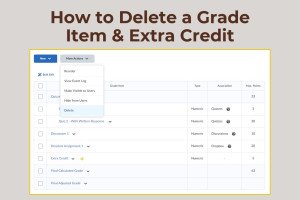 How to delete a grade item and extra credit