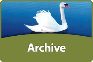 Archive of congress programs