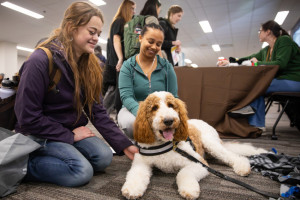 Two smiling students petting a brown and white therapy dog 