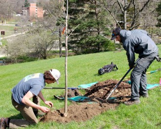 Two student employees on the Sangren Hall hillside during this year's Arbor day