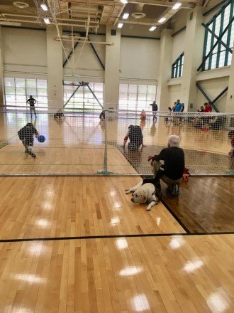 Bob Brauker crouches in a gym to watch goalball alongside his guide dog.