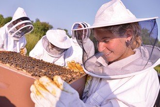 Photo of students examining beehives.