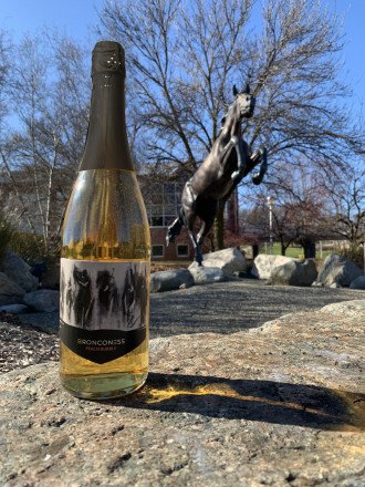 A Bronconess wine bottle resting on a rock in front of the Bronco statue.