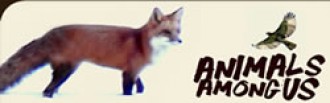 Animals Among Us logo
