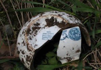 A white, shattered, ceramic bowl with blue print lying in the grass