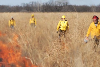 Flames burn through a section of prairie grass under the watchful eyes of four people wearing protective clothing.