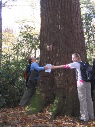 Students measuring a large tree by wrapping their arms around it.