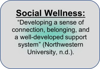 Social Wellness: “Developing a sense of connection, belonging, and a well-developed support system” (Northwestern University, n.d.). 