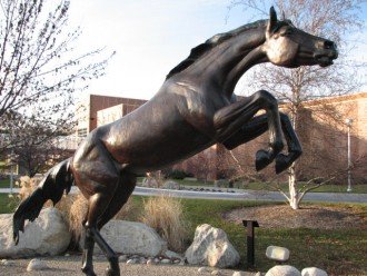 A photo of the large bronze statue of a bronco that is located in front of the Student Recreation Center. This statue is one of the first thing many visitors see as it is located at one of the main entrances to campus. The bronco is rearing up on its hind legs and ready to take on whatever challenge it faces.