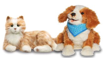 stuffed cat and dog toys against a plain background