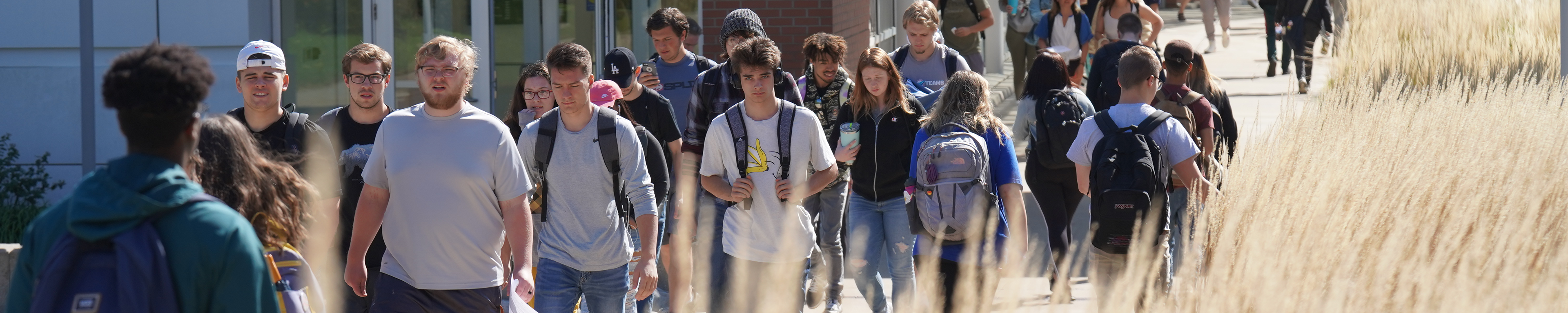 Page banner: students walking on campus