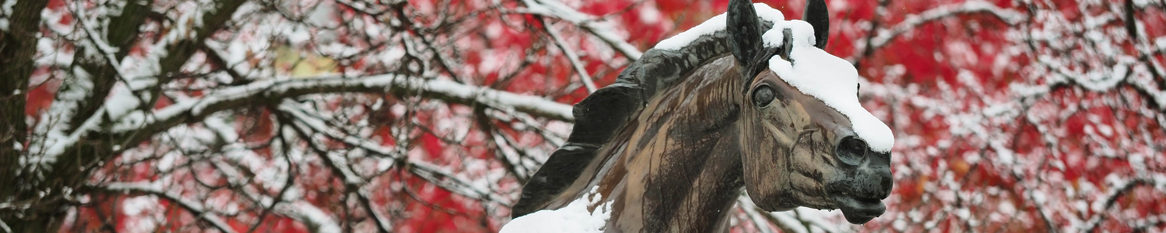 Snowfall on the WMU Bronco statue at the start of winter.