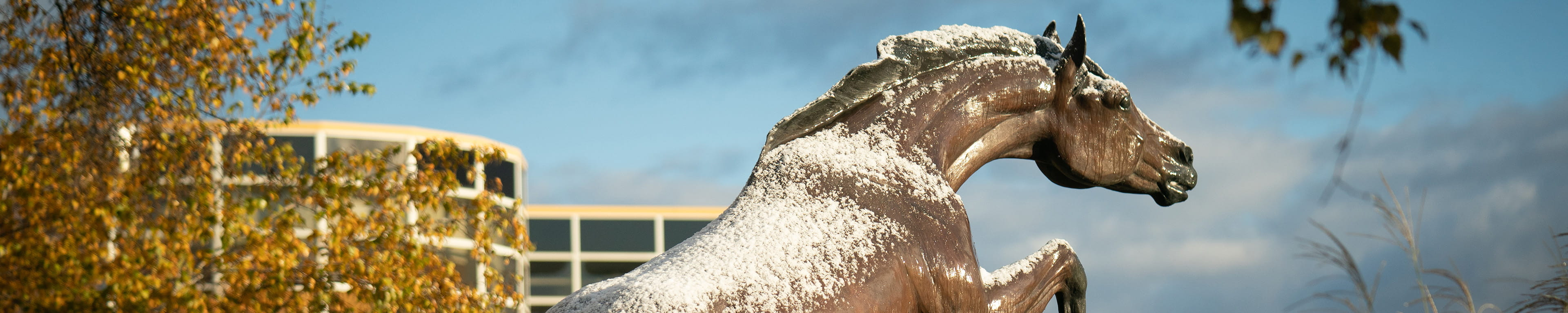 Page banner: snowy Bronco statue on WMU campus