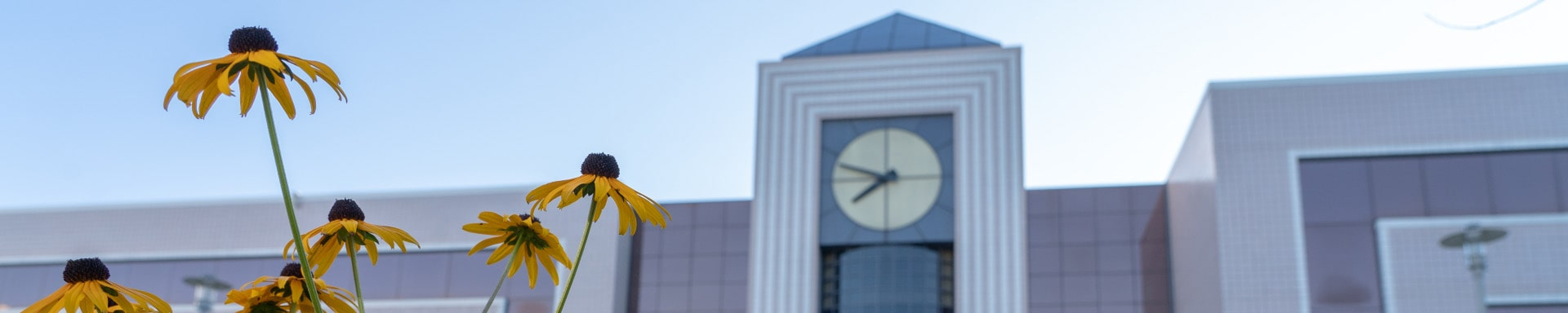 Clocktower with flowers