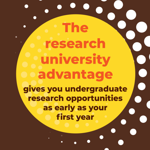 The research advantage undergraduate research opportunities as early as your first year