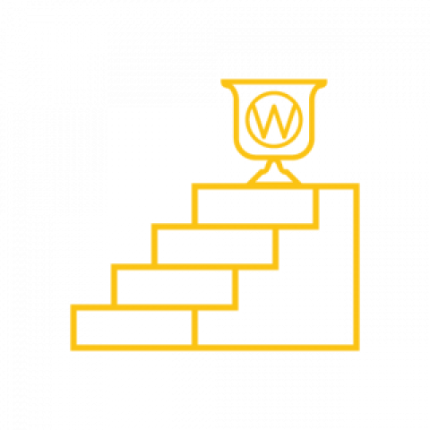 Icon of a staircase with a trophy at the top for Realize process.