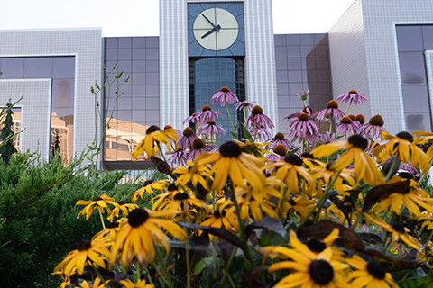 Waldo library with brown eyed susans in the foreground