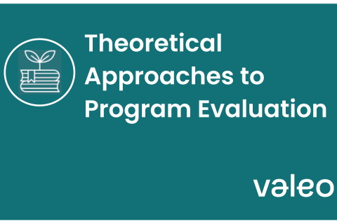 Icon reading Theoretical Approaches to Program Evaluation