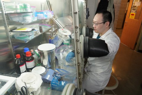 Graduate student working in the lab.
