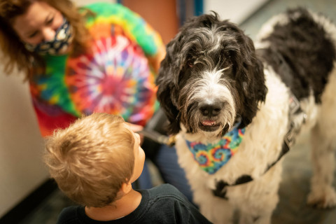 Incorporating pet therapy with a child assessment