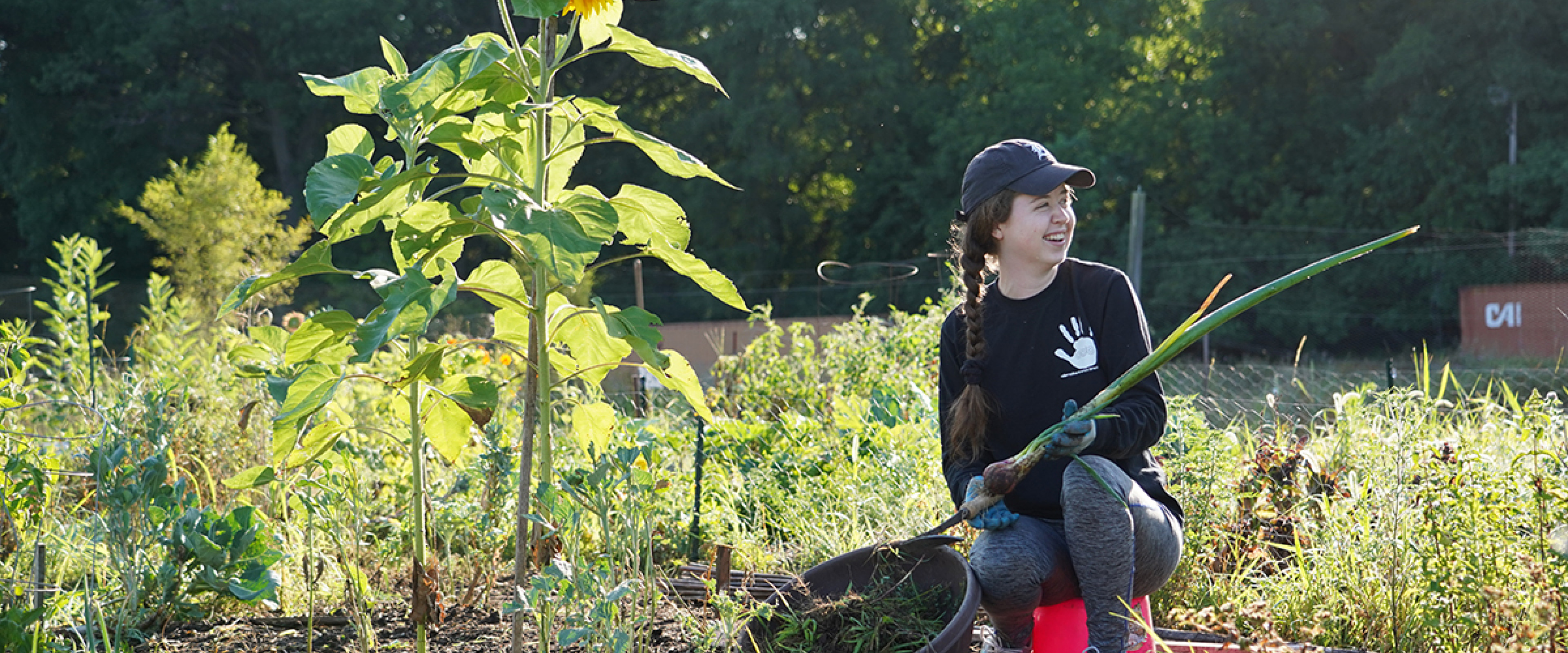 A student working in the WMU Community Garden.