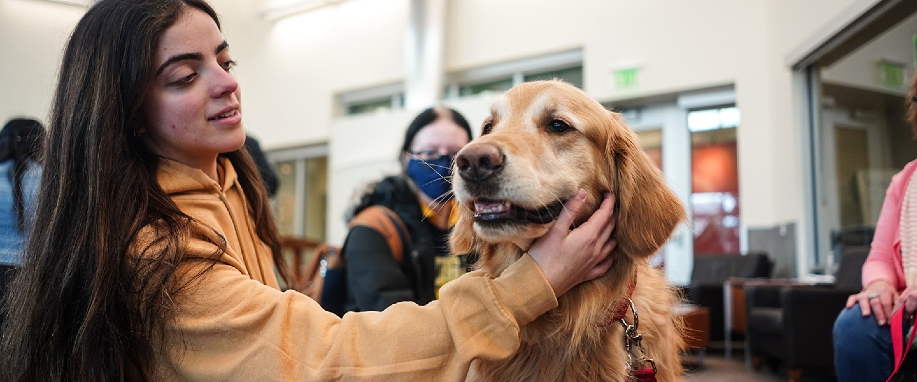 A student enjoys time with a therapy dog.