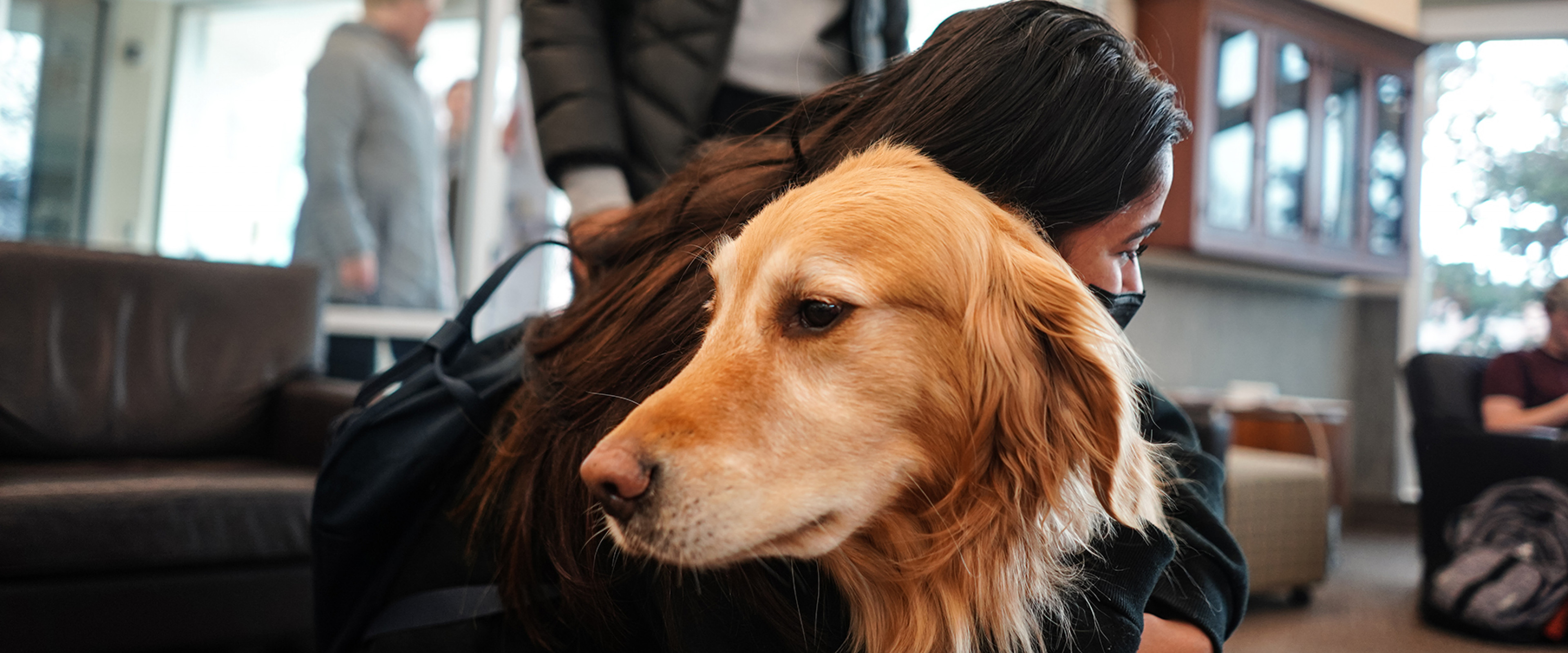 Therapy dog event sponsored by a Medallion class.