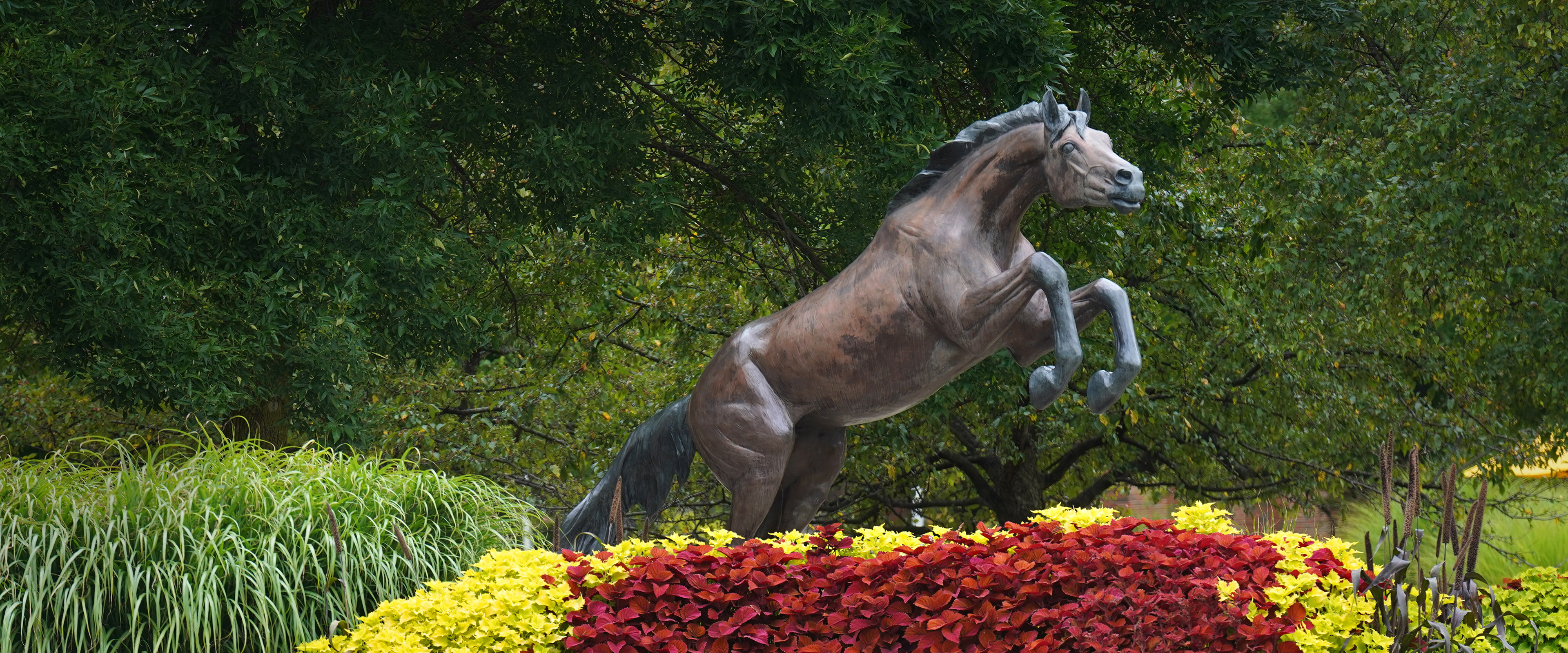 Photo of Bronco statue in front of fall foliage