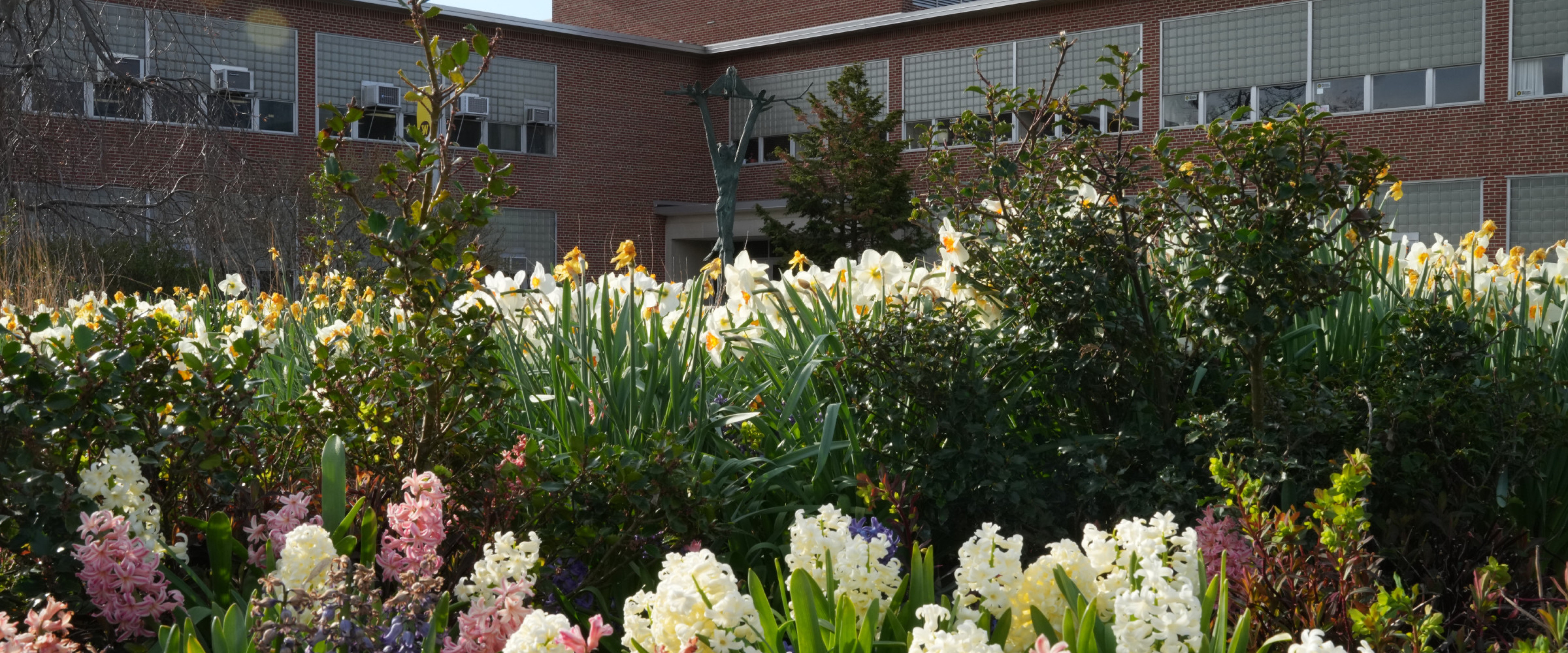 Plant life is in bloom all across Western’s Main Campus. The Seibert Administration Building is seen behind a beautiful assortment of flowers.