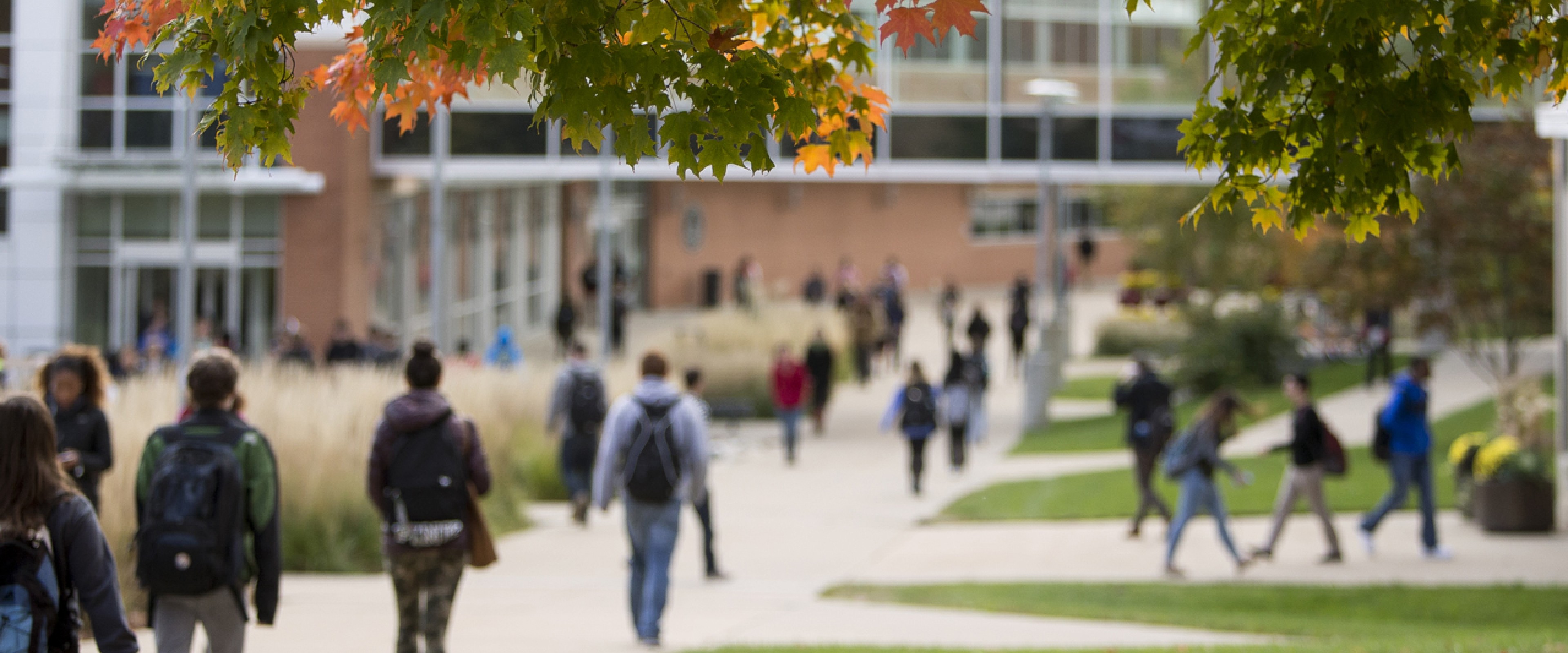 Students walking on campus during the fall season.