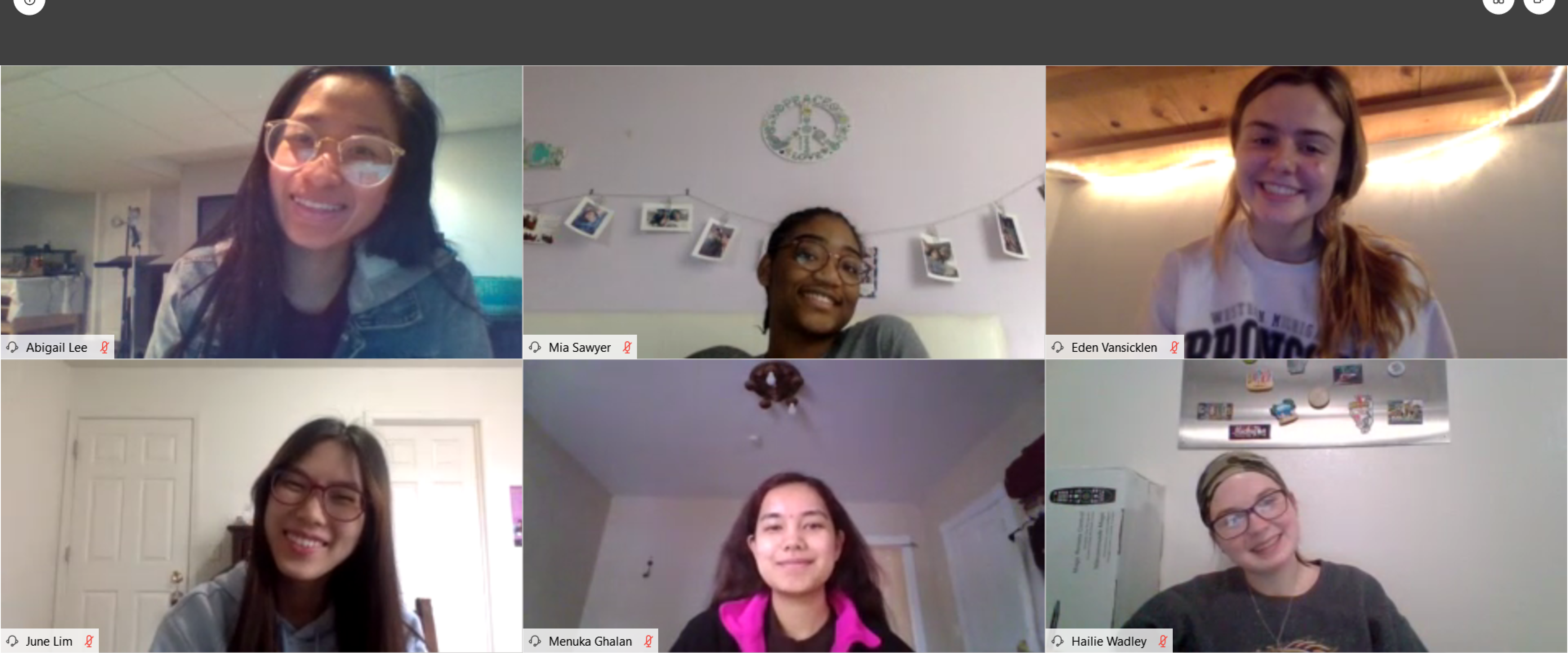 Screenshot of six mentors during a virtual study session on Webex.